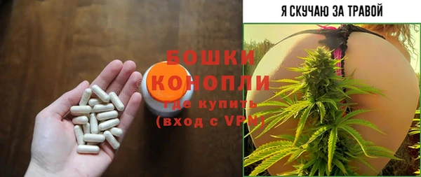 гашик Остров