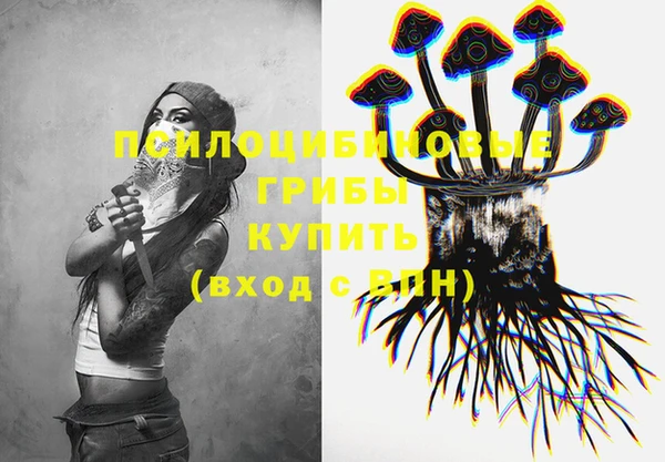 тгк Нижний Тагил