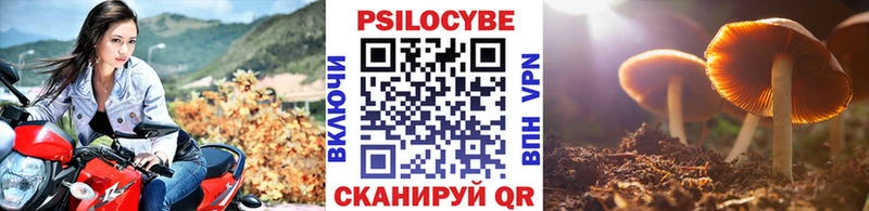 Псилоцибиновые грибы мухоморы Чаплыгин